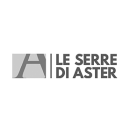 aster serre