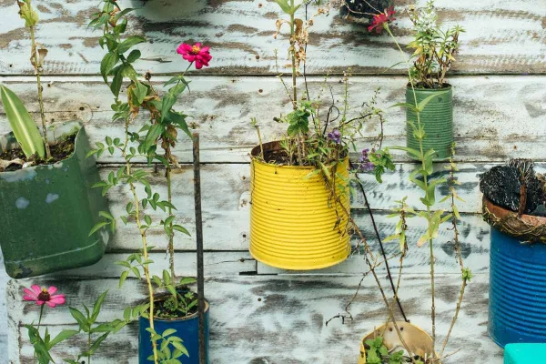 francia legge riuso obbligatorio