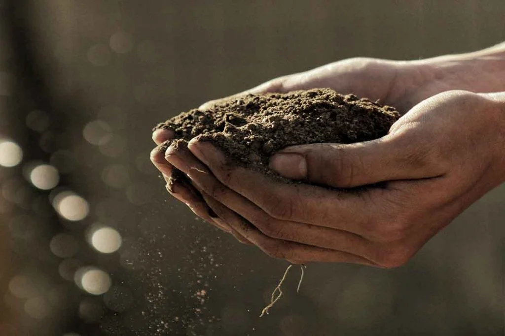 Due mani che contengono nei palmi della terra