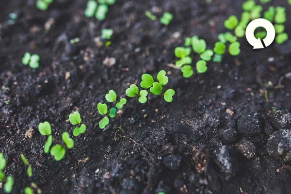 cosa significa ecolabel