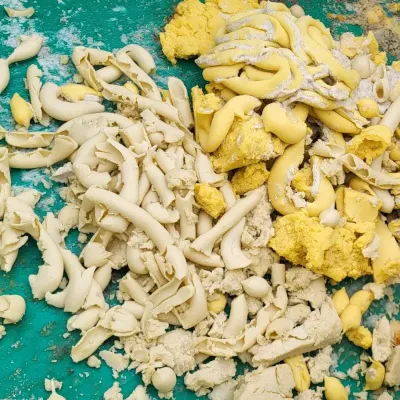 Fanghi di depurazione