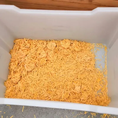 Scarti di Pasta secca