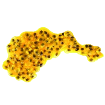 Immagine di esempio scarto organico