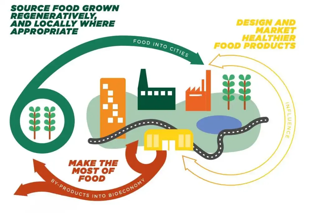 infographic where it is illustrated how to make regenerative and local the production fiel of the food sector