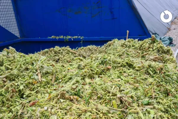 l'immagine rappresenta un cassone con al suo interno scarti alimentari della filiera agroalimentare