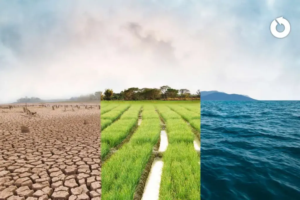 immagine che rappresenta la differenza tra i diversi ecosistemi: territorio arido, campi verdi e il mare