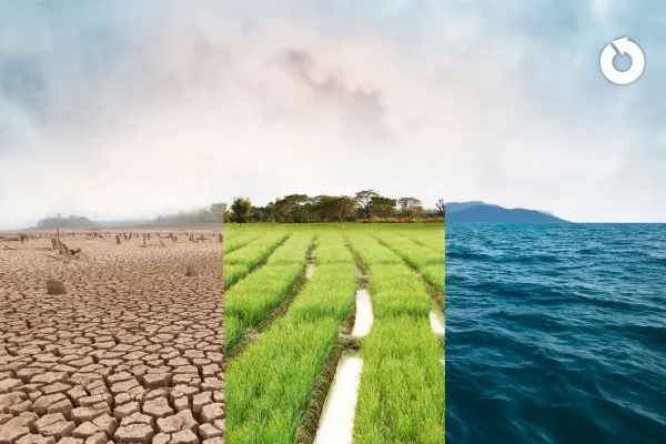 immagine che rappresenta la differenza tra i diversi ecosistemi: territorio arido, campi verdi e il mare