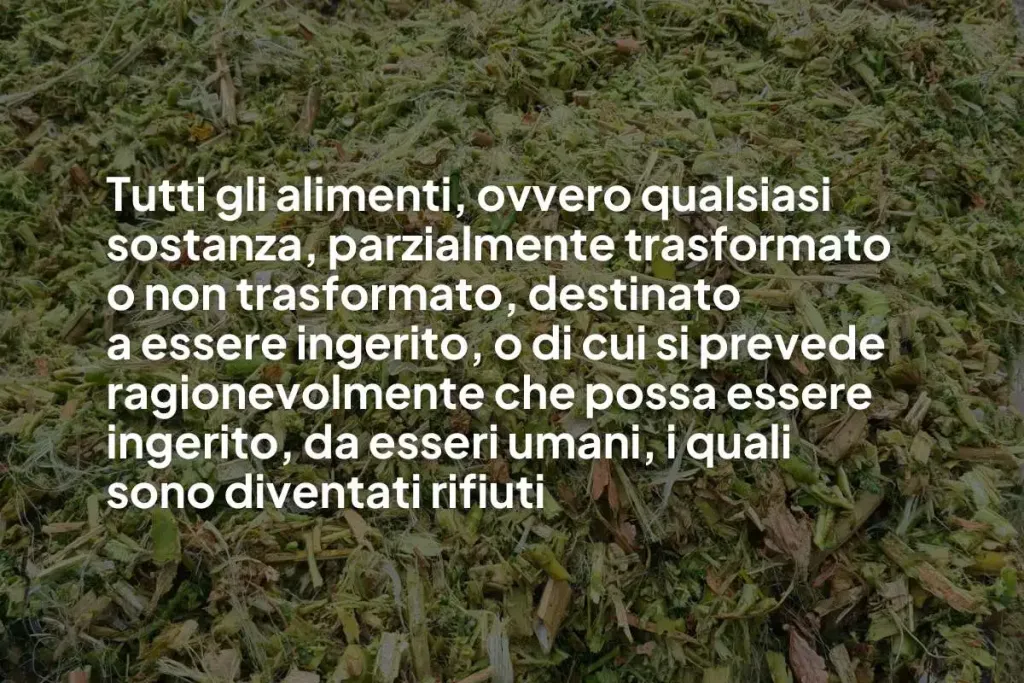 Infografica che contiene il seguente testo: Tutti gli alimenti, ovvero qualsiasi sostanza, parzialmente trasformato
o non trasformato, destinato
a essere ingerito, o di cui si prevede ragionevolmente che possa essere ingerito, da esseri umani, i quali
sono diventati rifiuti