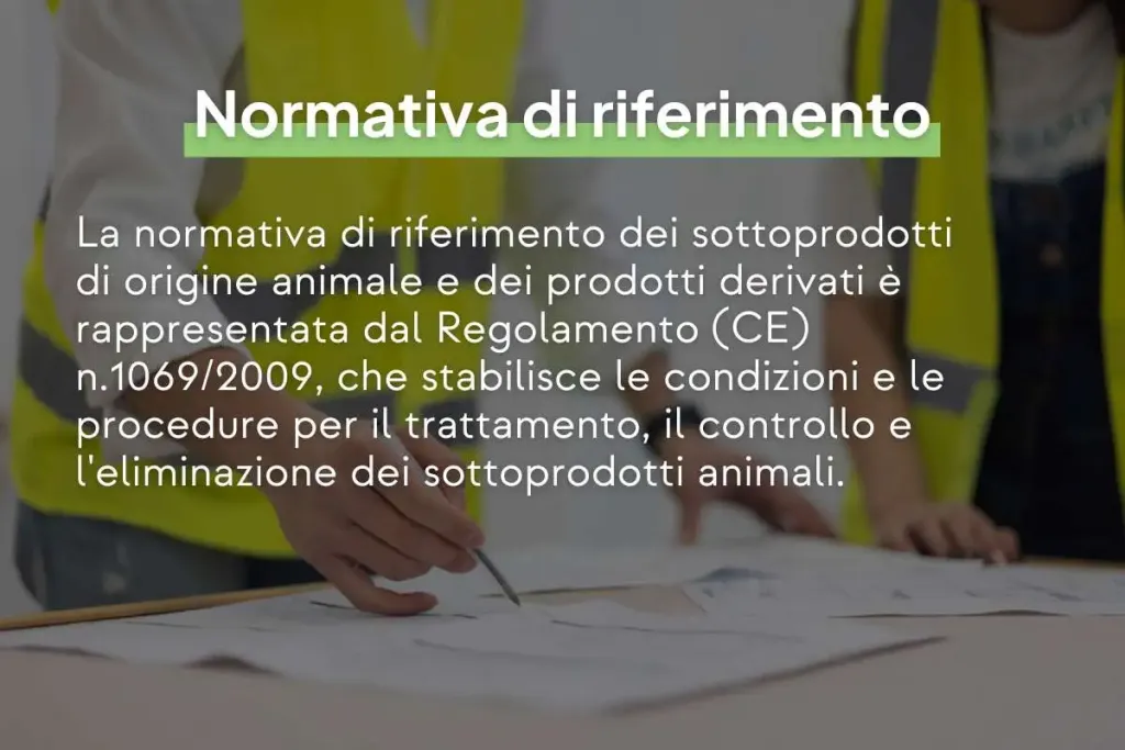 Inforgrafica con scritto: "La normativa di riferimento dei sottoprodotti di origine animale e dei prodotti derivati &egrave; rappresentata dal Regolamento (CE) n.1069/2009, che stabilisce le condizioni e le procedure per il trattamento, il controllo e l'eliminazione dei sottoprodotti animali.