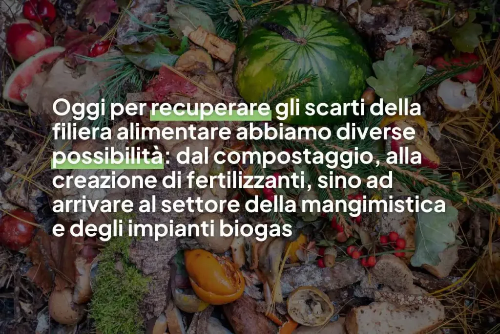 Infografica con scritto: "Oggi per recuperare gli scarti della filiera alimentare abbiamo diverse possibilit&agrave;: dal compostaggio, alla creazione di fertilizzanti, sino ad arrivare al settore della mangimistica e degli impianti biogas"