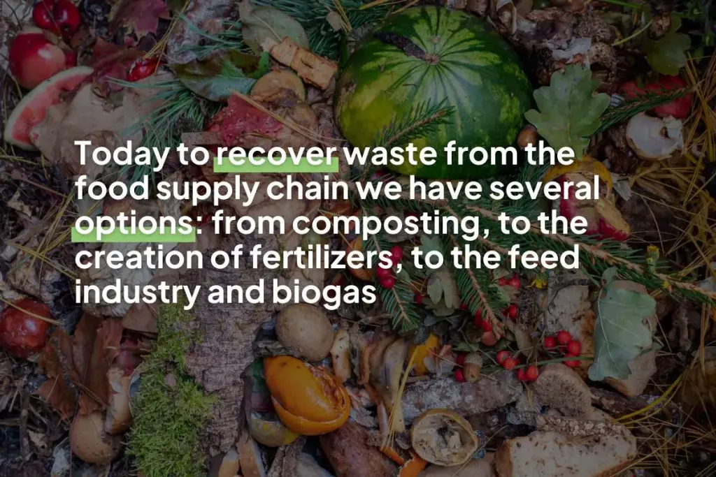 Infographic stating, "Today to recover waste from the food supply chain we have several options: from composting, to creating fertilizer, to the feed industry and biogas plants"