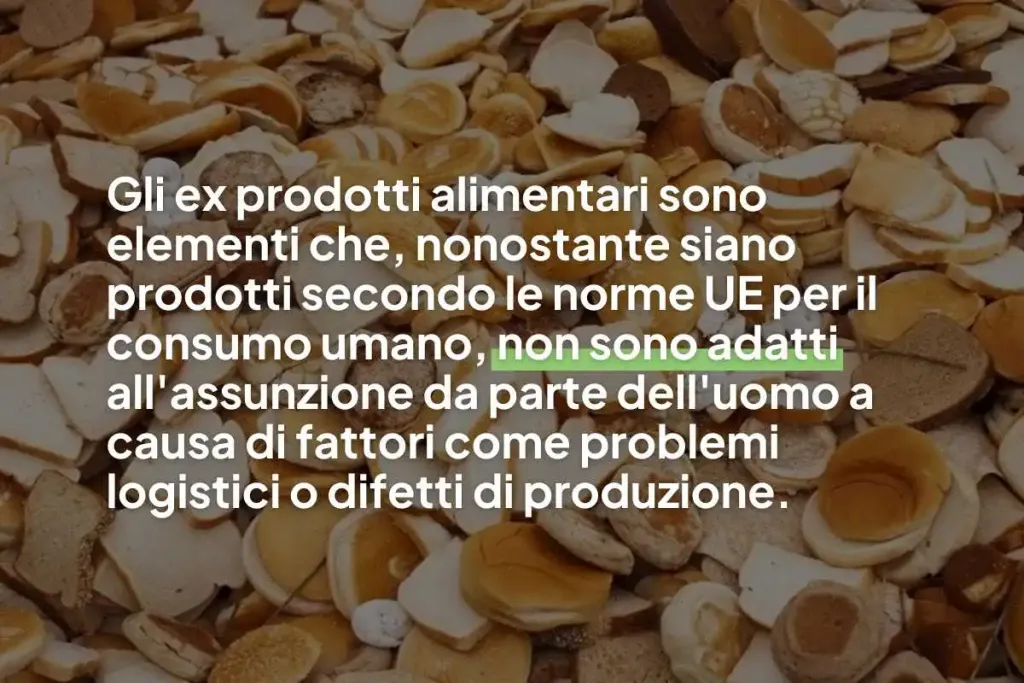 Immagine con sfondo degli scarti del pane e una scritta sopra che dice: "Gli ex prodotti alimentari sono elementi che, nonostante siano prodotti secondo le norme UE per il consumo umano, non sono adatti all'assunzione da parte dell'uomo a causa di fattori come problemi logistici o difetti di produzione. "