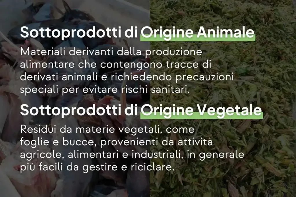 Nella grafica viene spiegata la principale differenza tra sottoprodotti di origine animale e sottoprodotti di origine vegetale