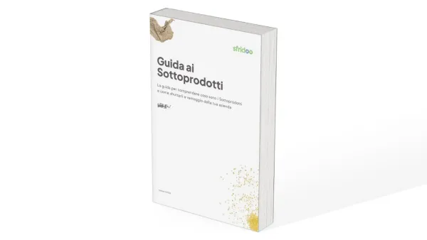 Nella grafica è rappresento un mock-up di un guida di Sfridoo su sfondo bianco